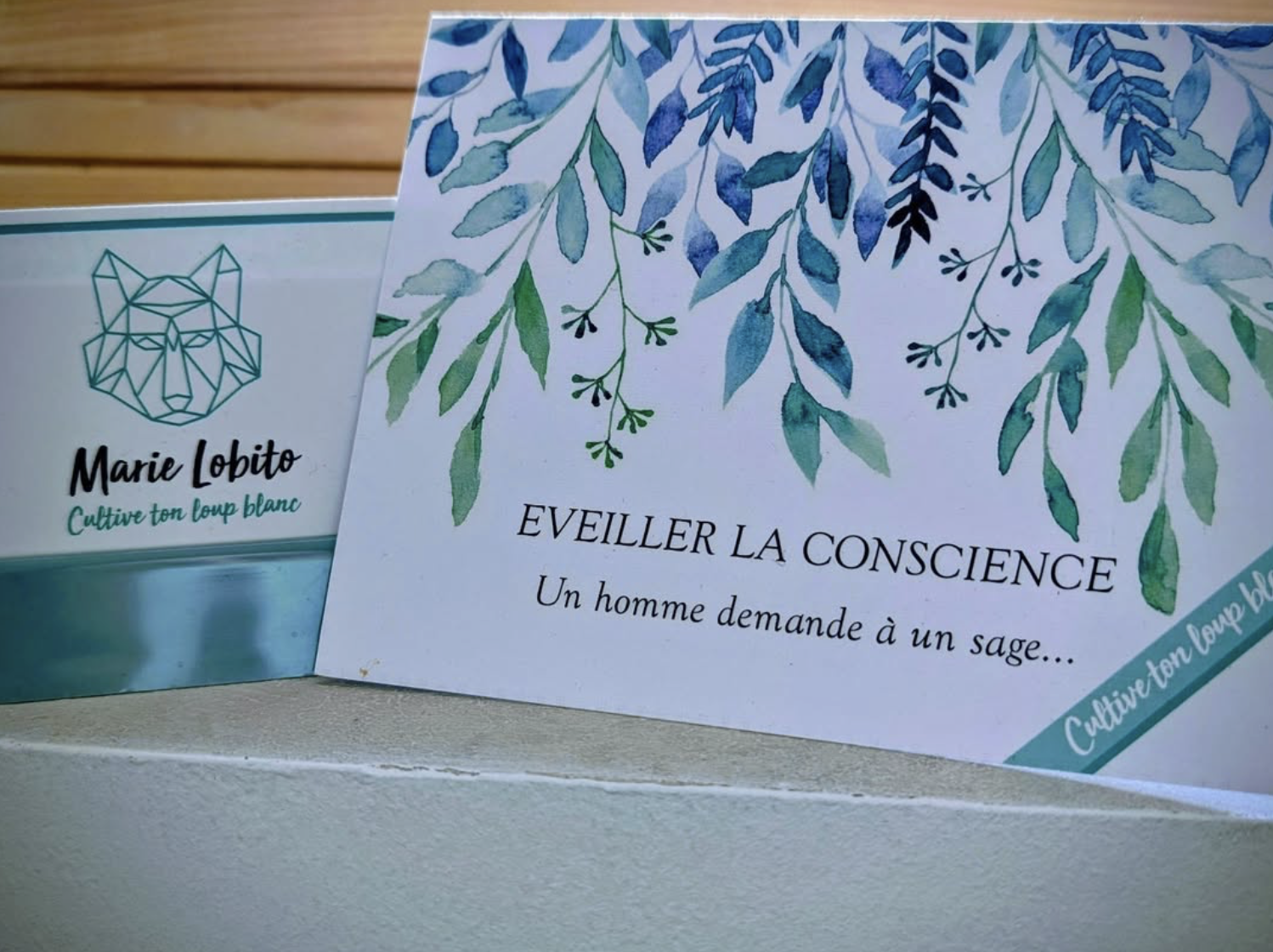 capture-decran-2026-02-12-a-114557