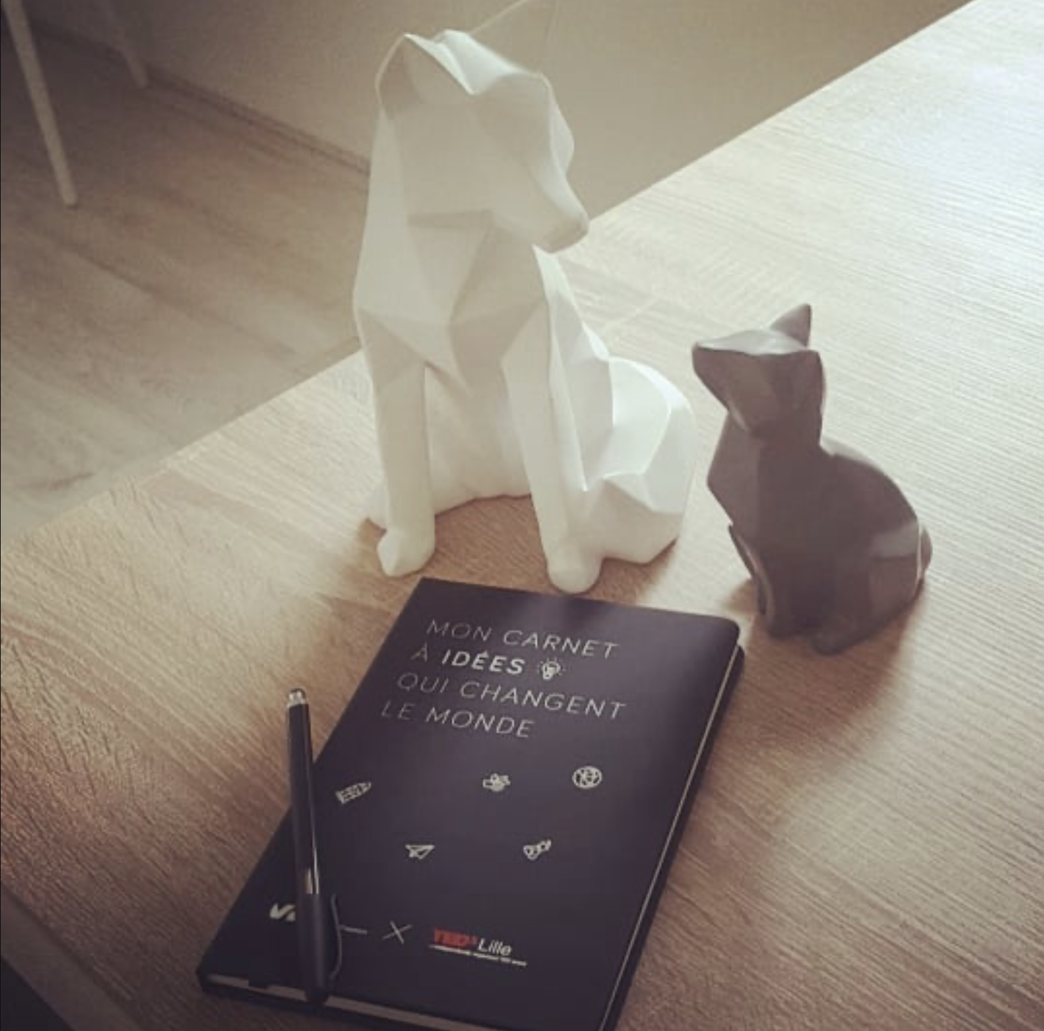 capture-decran-2026-02-12-a-114645